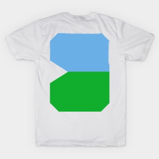 Harmony in Motion: Celebrating Djibouti's Flag Design T-Shirt